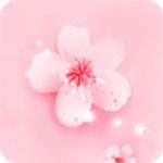 套路社交app女王版
