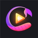 羞羞视频在线观看完整版