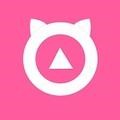 青苹果乐园下载安装