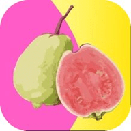 蜜桃视频轻量版app