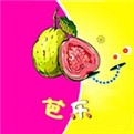 丝瓜视频免费在线观看