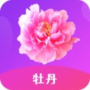金莲直播apk在线下载