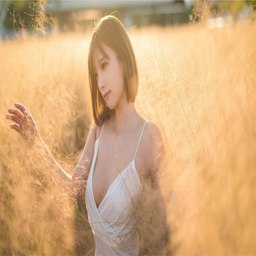 青青草视频的未来：探索数字媒体时代的无限可能
